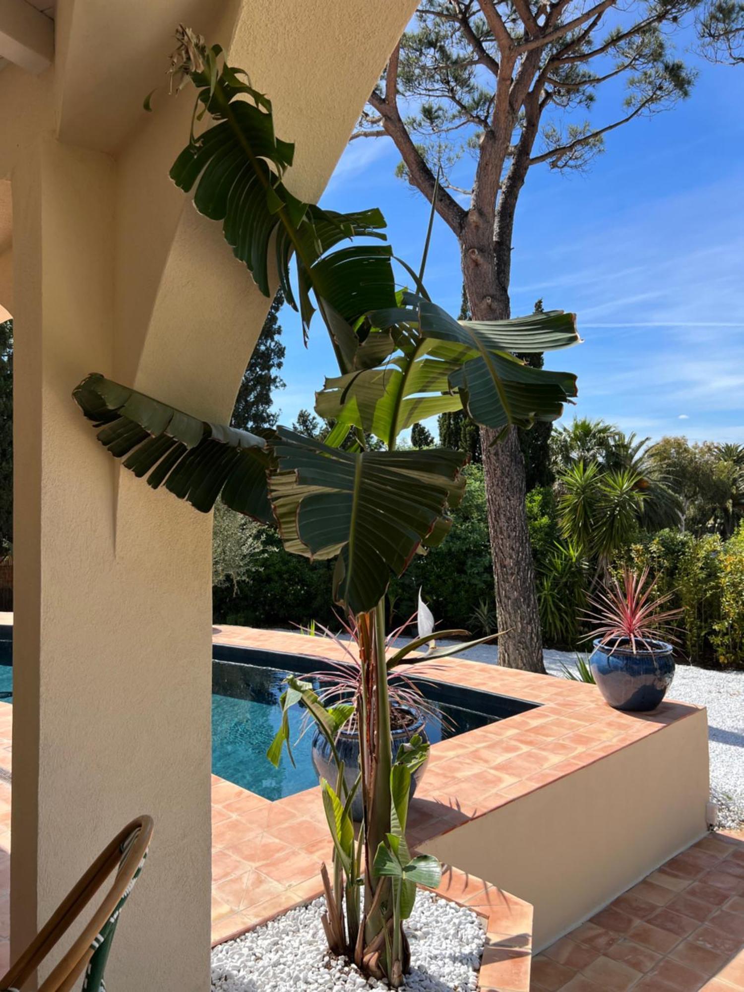 Maison D'Orange - La Pinede Saint-Tropez Zewnętrze zdjęcie